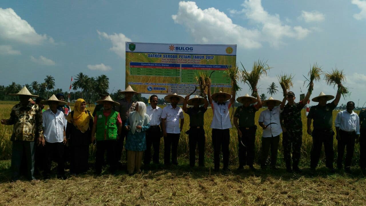 Tim Sergab tinjau pelaksanaan penyerapan gabah di Aceh Utara