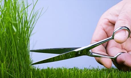 Mahasiswa Hukum Potong Kelamin Pendeta Hindu di India