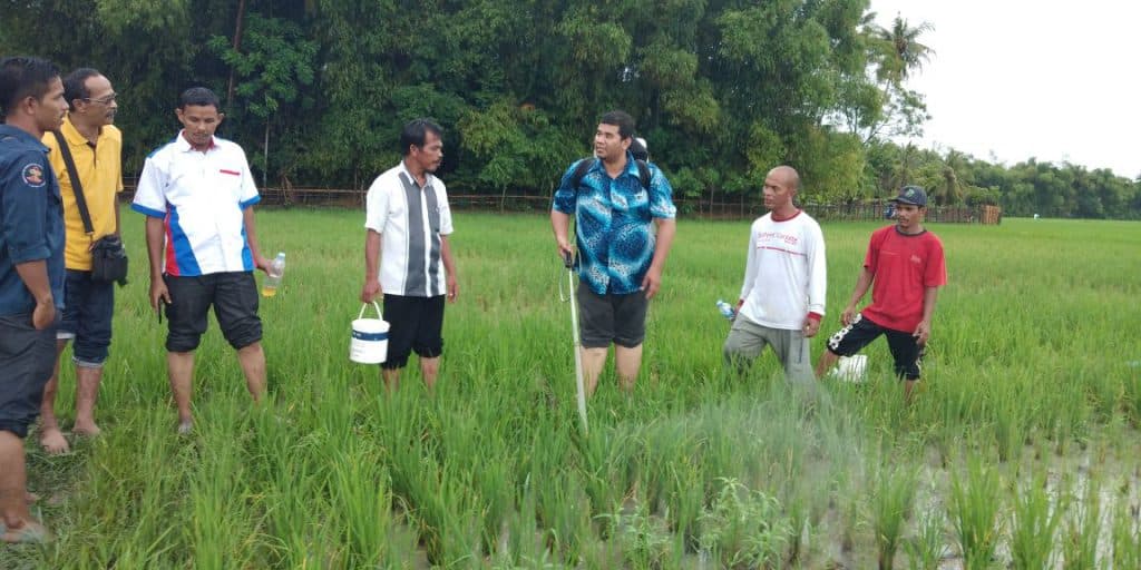 Tim A’Moe Malaysia basmi hama di Pidie