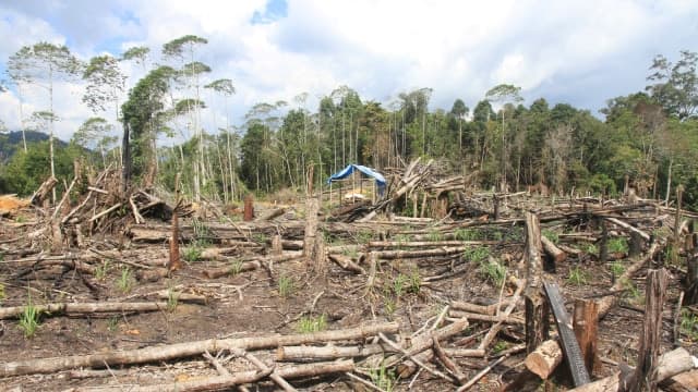 Izin PT EMM Dinilai Cacat Hukum, GeRAK Bakal Lakukan Upaya Hukum