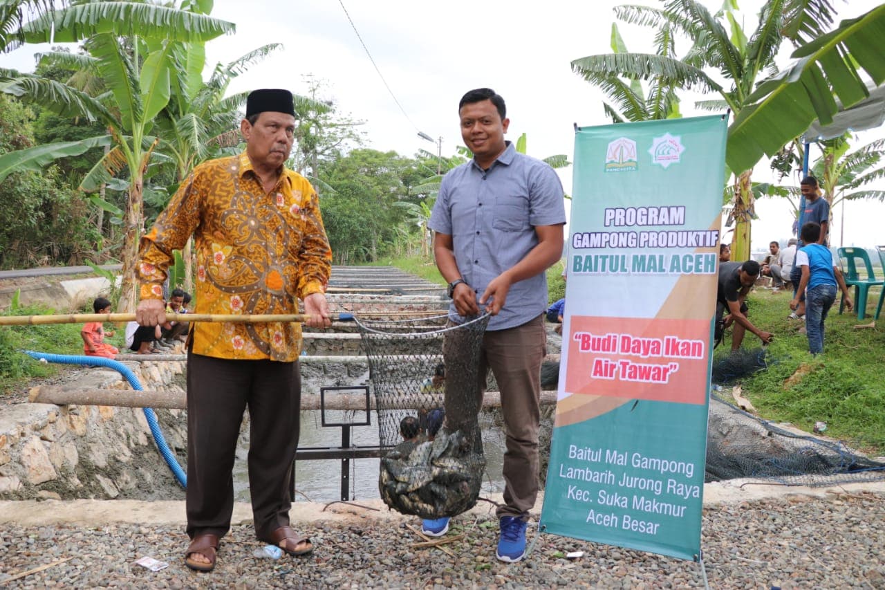 Budi Daya Ikan Nila Binaan Baitul Mal Aceh Panen Perdana