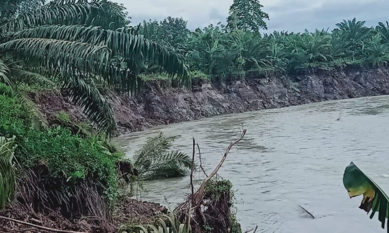 Lahan Perkebunan Warga Blang Dalam Abdya Terancam Rusak