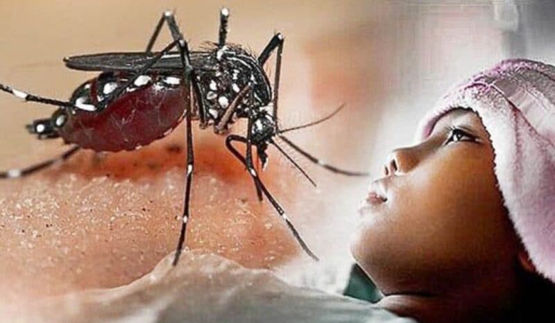 4 Warga Rumah Panjang Susoh Terjangkit DBD