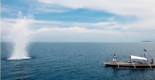 KKP Catat Perairan Aceh Rawan Pengeboman Ikan