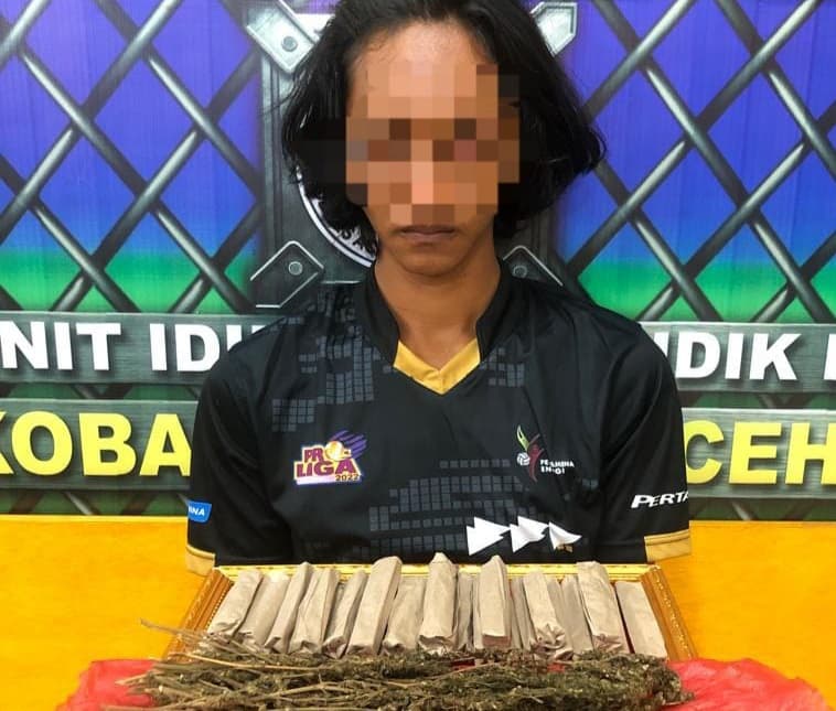 AVY Pemuda Asal Susoh Ditangkap Polisi Karena Kedapatan Jual Beli Ganja