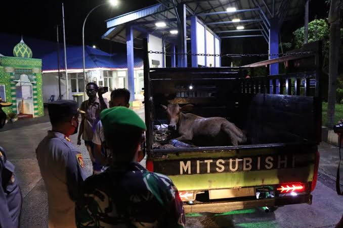 Polda Sekat Perbatasan Aceh-Sumut Untuk Antisipasi Masuk Hewan PMK