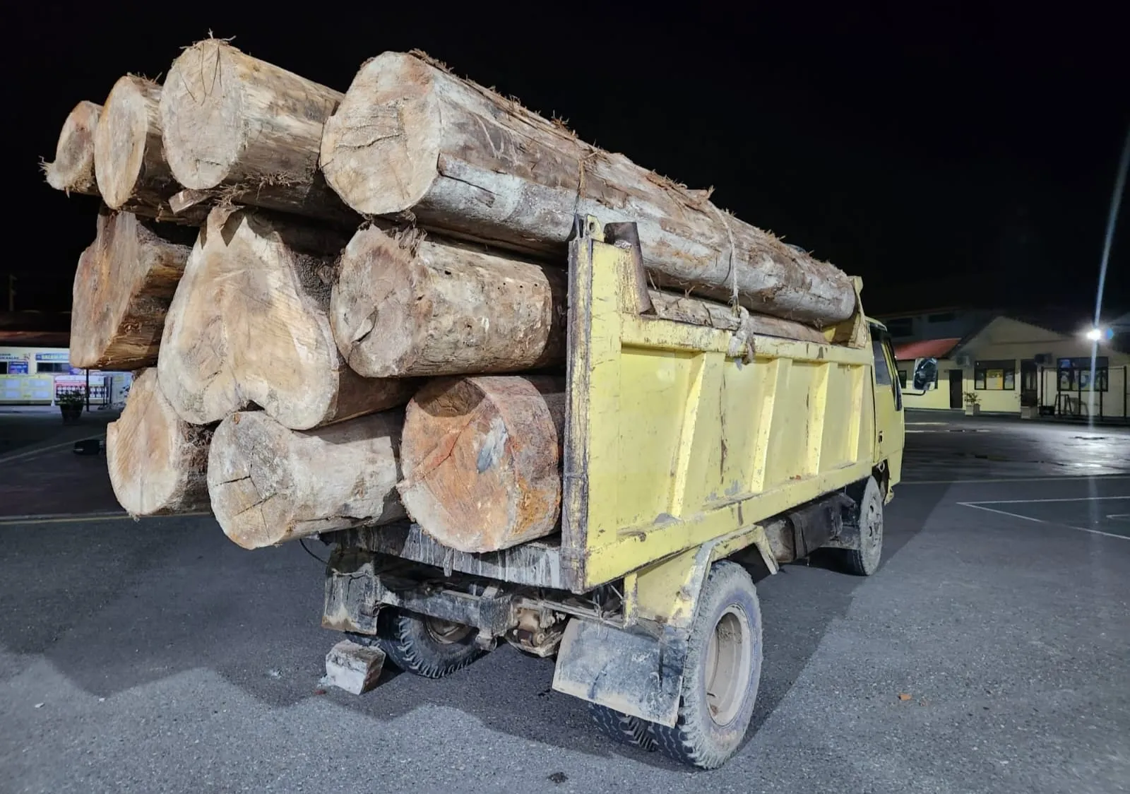 Polisi Tangkap Pengangkut Kayu Diduga Ilegal di Pidie Jaya