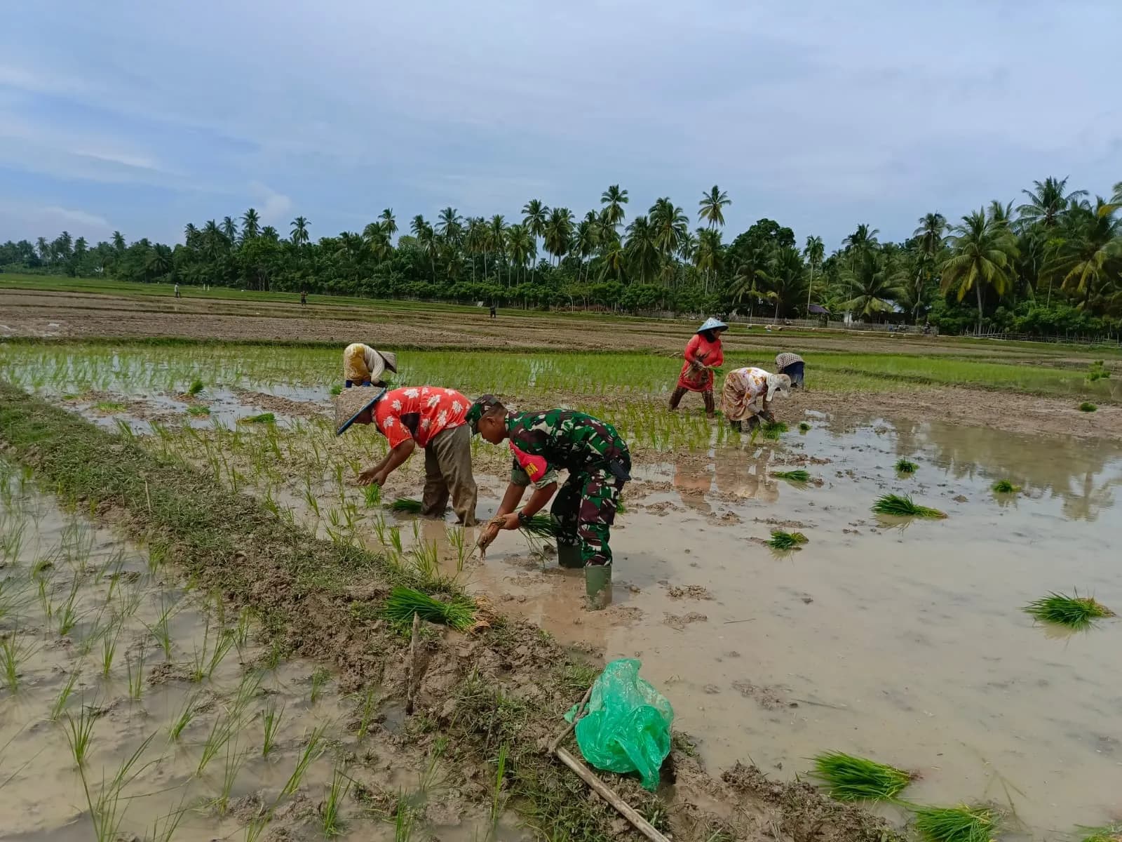 Danrem Lilawangsa Kerahkan Babinsa TNI Sebagai Ujung Tombak Pertanian Masyarakat