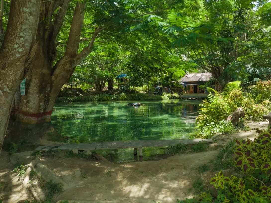 Mata Air Sarindan Subulussalam: Tawarkan Kesejukan yang Alami