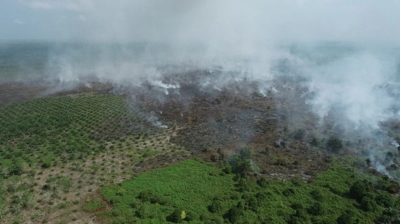 9,5 Hektare Lahan di Aceh Barat Terbakar