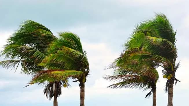 BMKG Prediksi Potensi Angin Kencang di Aceh Akan Berlangsung Hingga Agustus