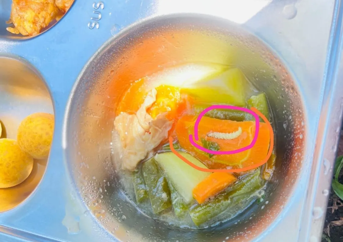 Mengejutkan! Ada Temuan Ulat di Paket Menu MBG di Abdya