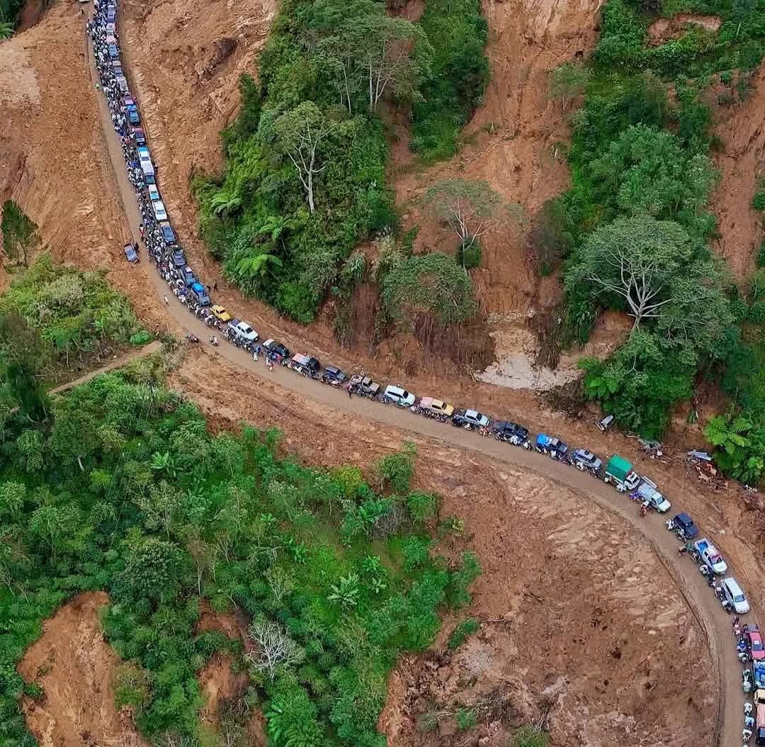 445 Hektare Kebun Kopi di Bener Meriah Rusak Akibat Bencana